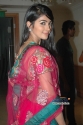 Pooja Hedge Pooja Hedge